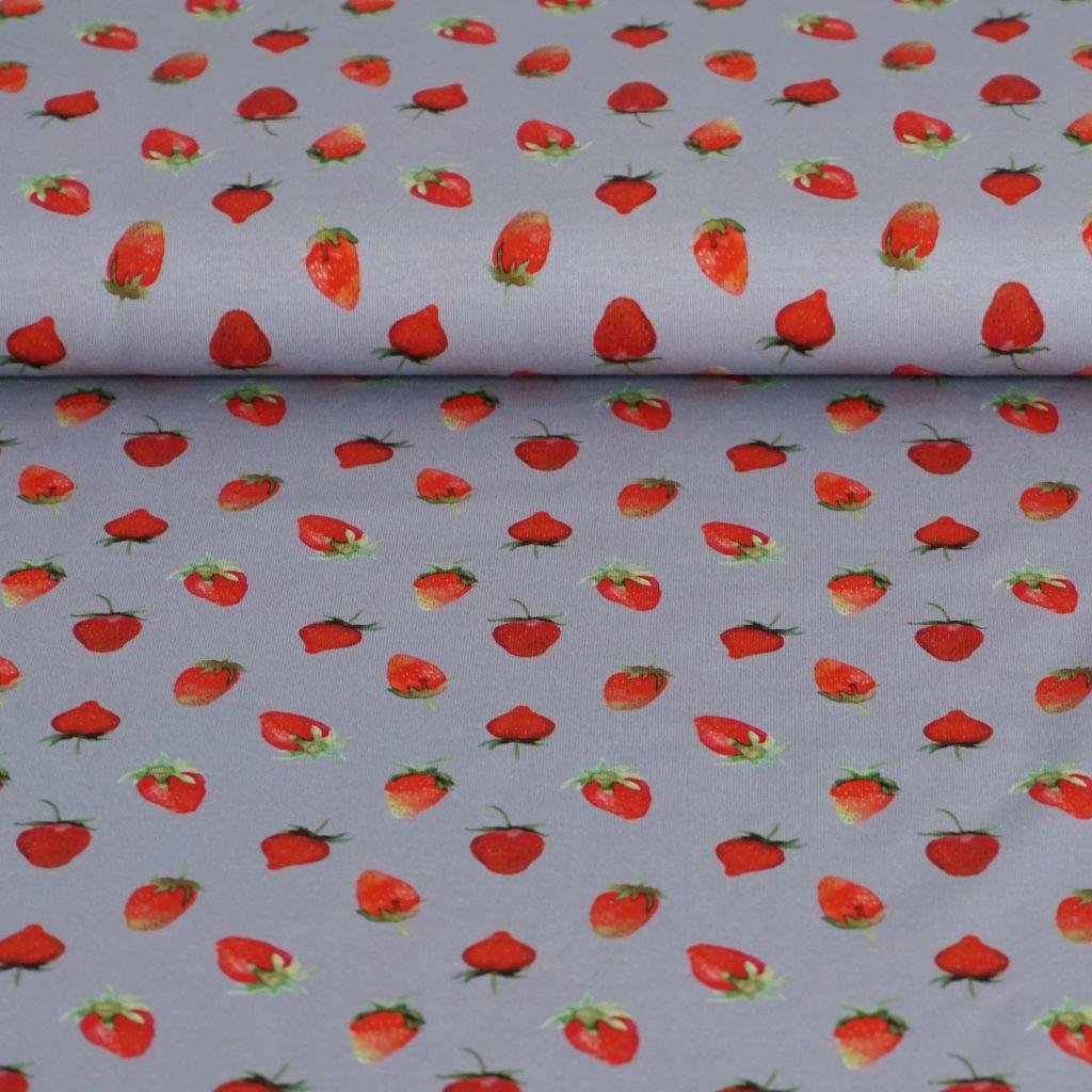 Baumwolljersey Erdbeeren Obst grau